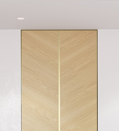 Двери в потолок